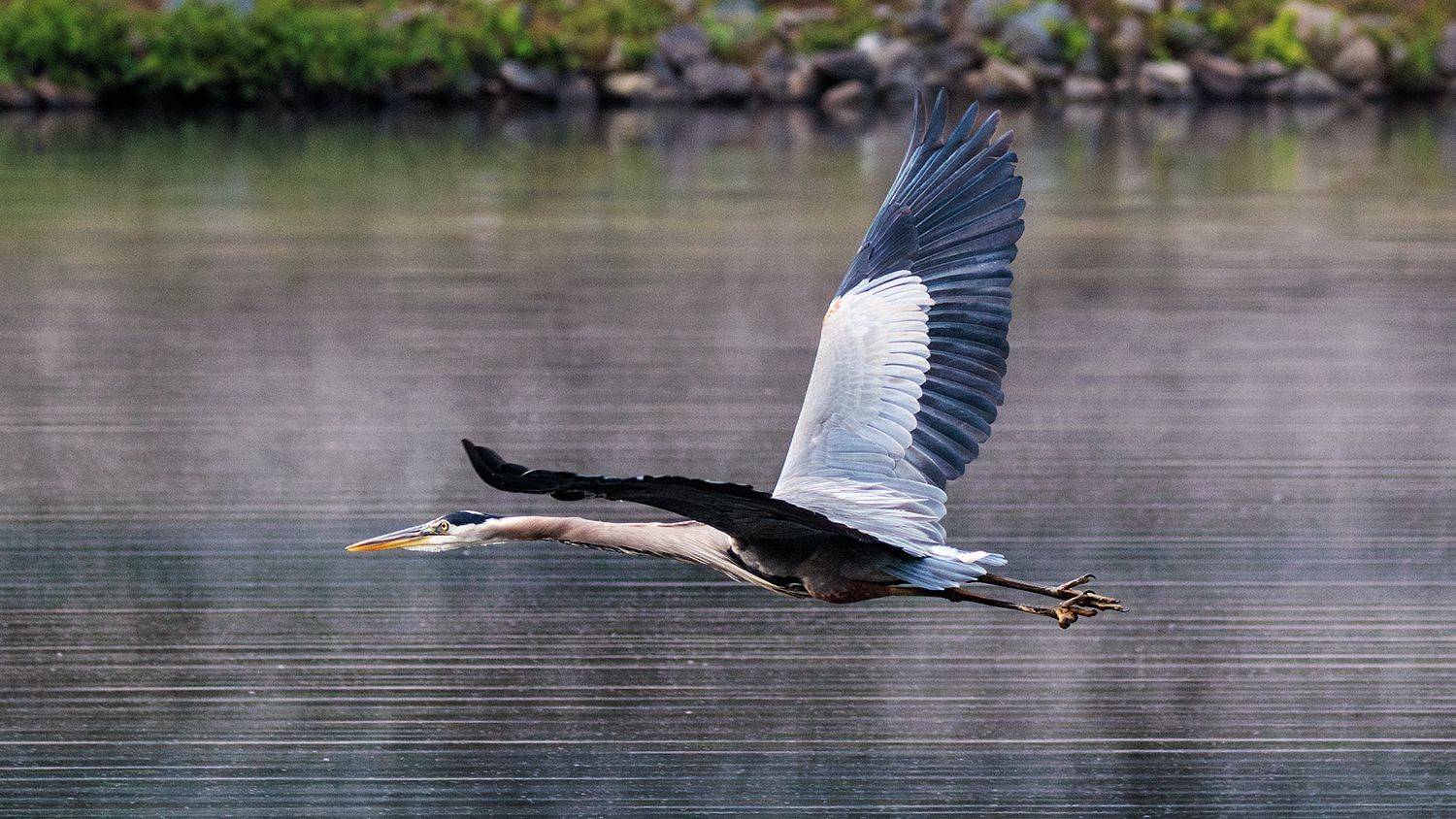 , Леонид Дьяченко