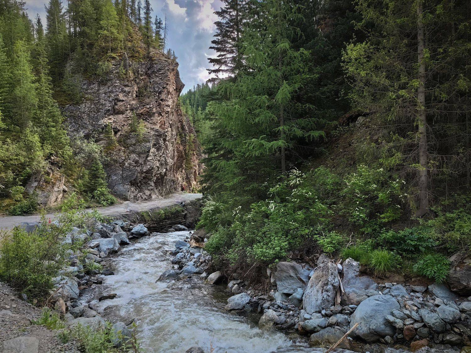 горы,река,алтай,природа,чибитка, Козлова Галина