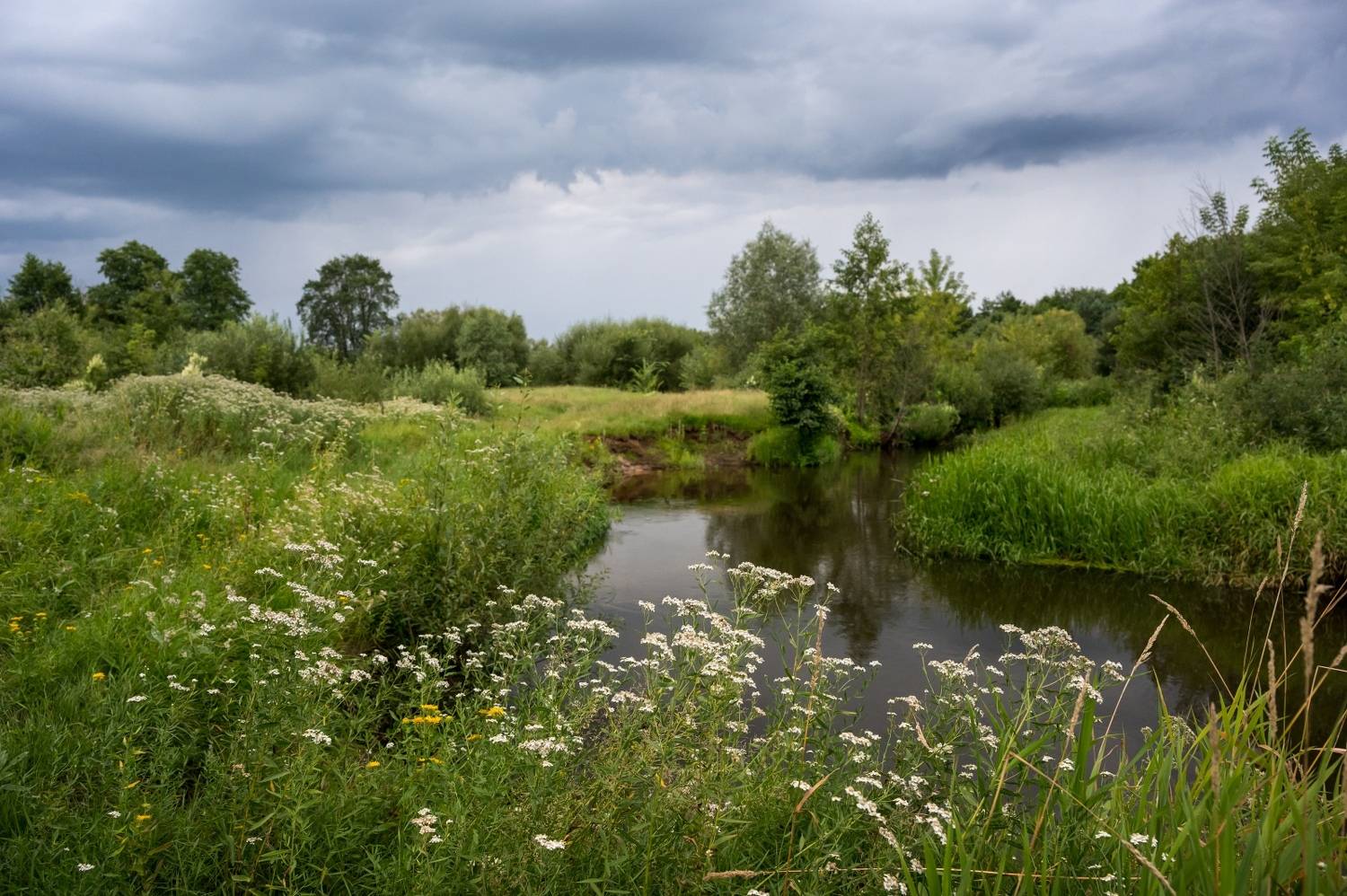 , Николай Никитин