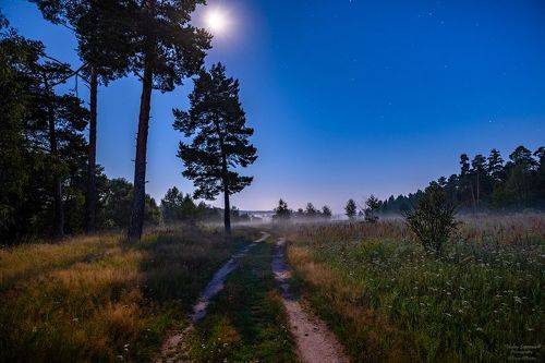 Лунная ночь в окрестностях реки Киржач