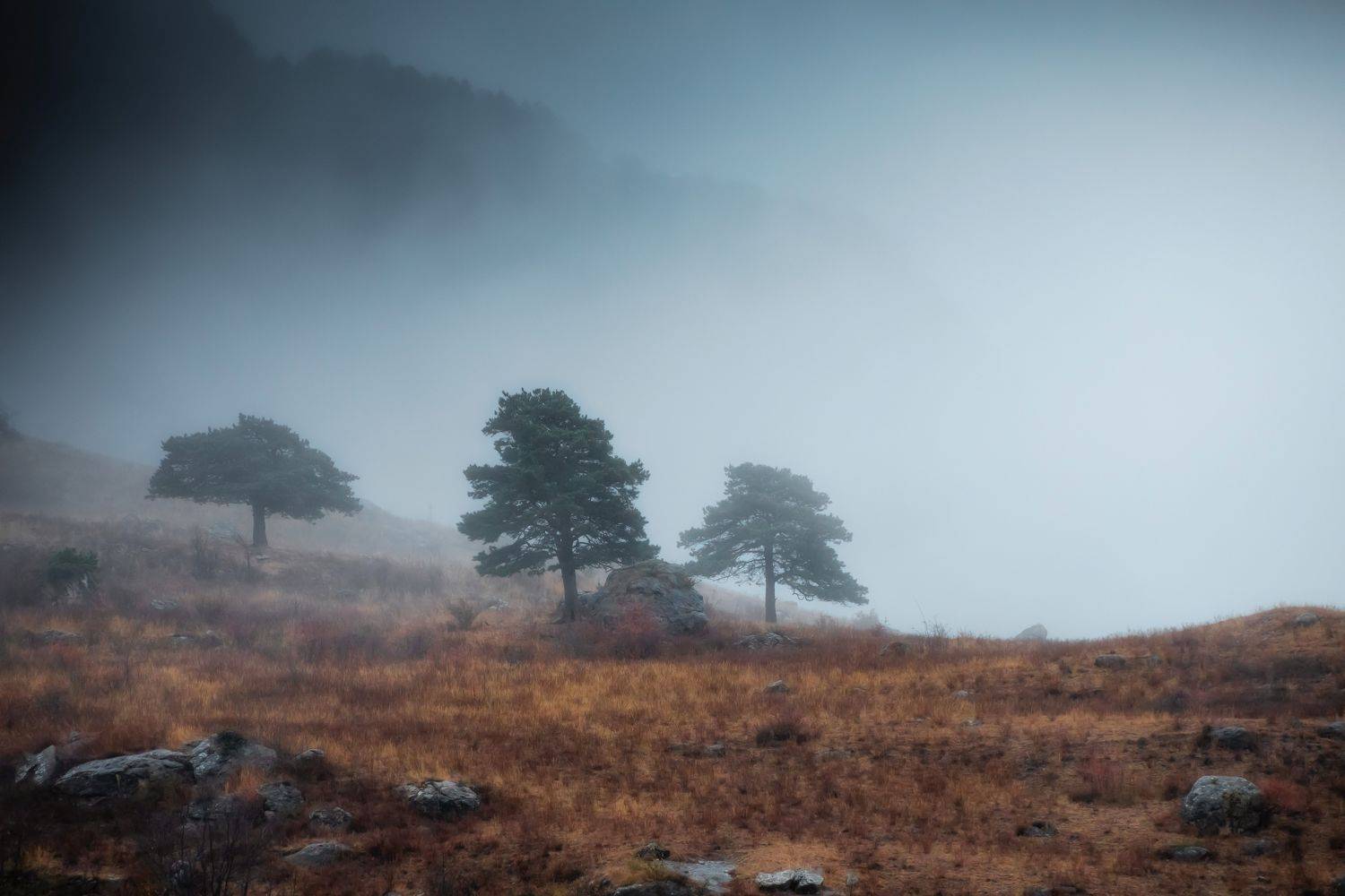 , Евгений Шивцов