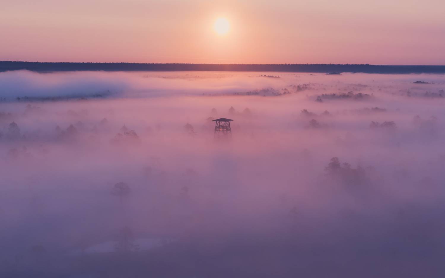 #visitestonia, #harjumaa, #k&otilde;rvemaa, #visitk&otilde;rvemaa, #eestiloodus, #estoniafromabove, #foggymorning, #mistymorning, #mistylandscape, #foggylandscape, #sunriseoftheday, #sunrise, #dronephotography, #dronelife, #dji, #djiglobal, #djiphotography, #placestovi, Nikolai Mordan