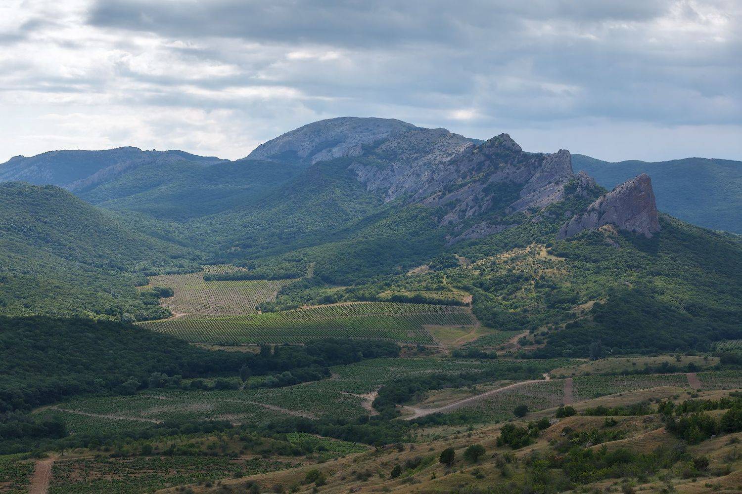 крым, лето, горы, виноградники., Владимир Дубинин