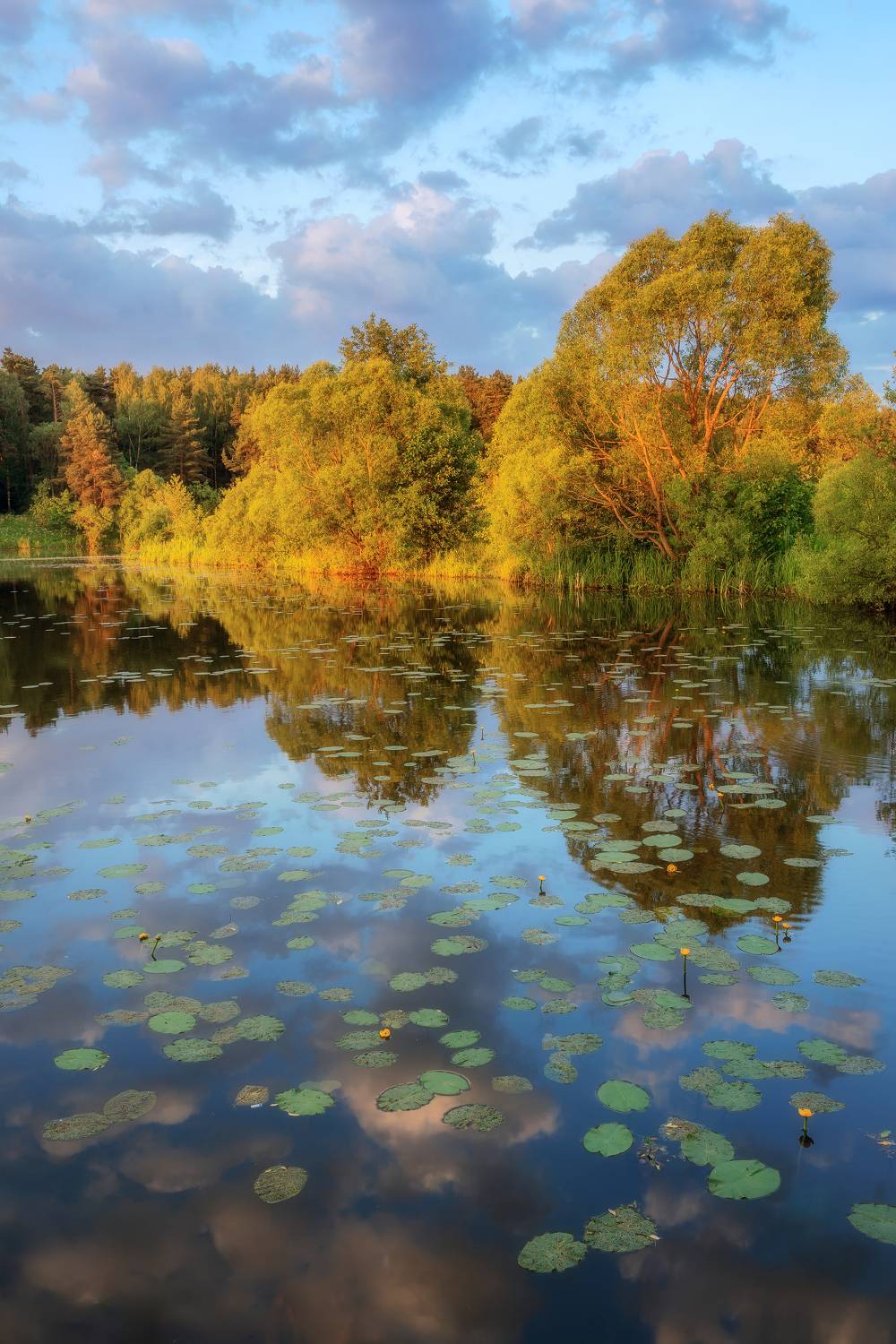 пейзаж, утро, рассвет, отражение, лето, Мартыненко Дмитрий