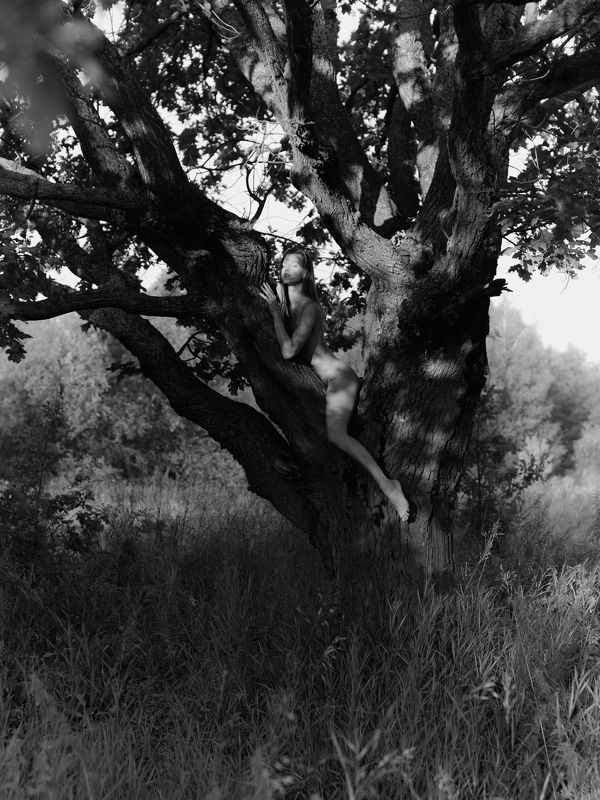 чб обнаженная девушка дуб лес природа красота рассвет Мимикрия фото превью