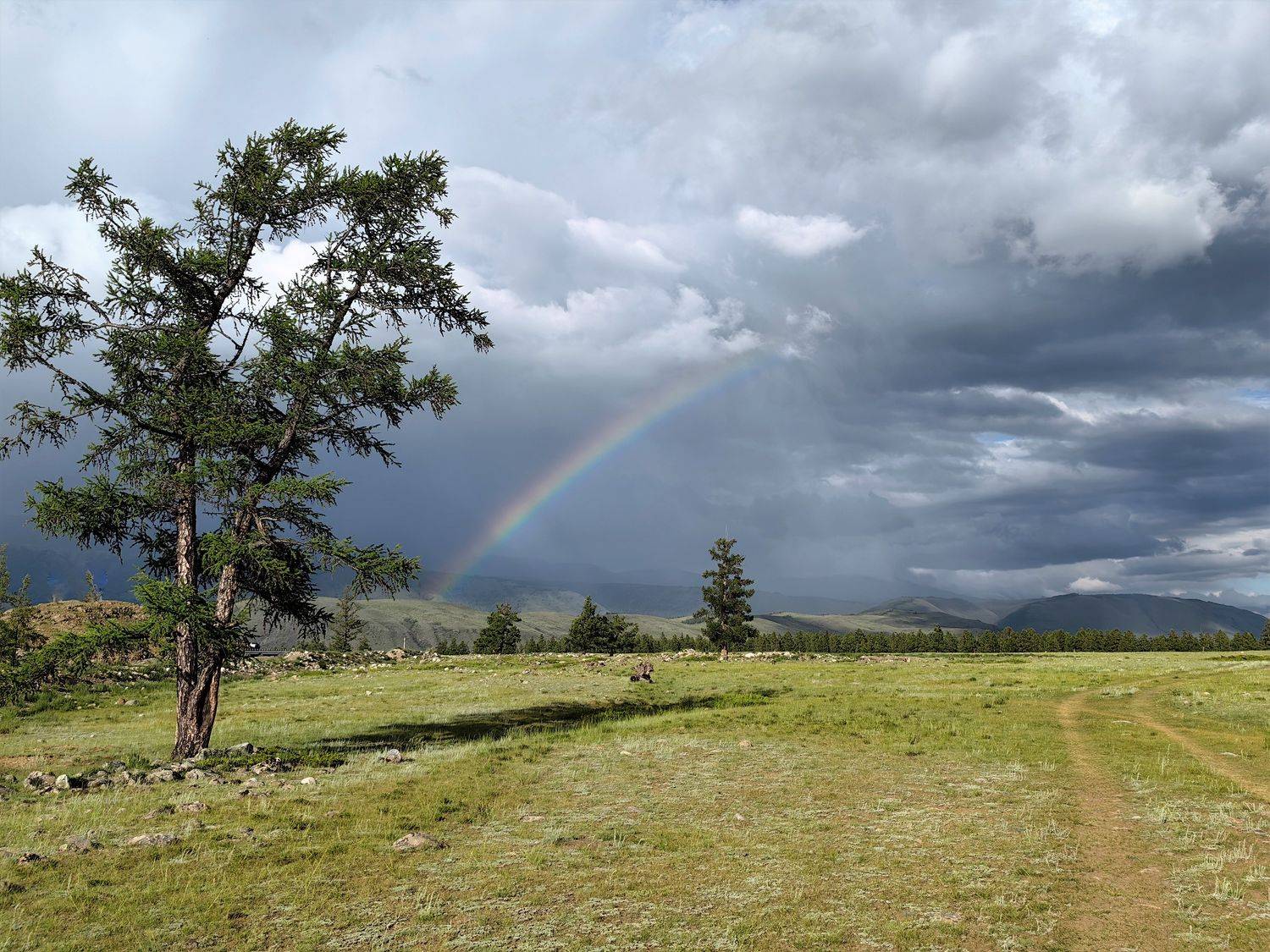 радуга,лето,природа,алтай, Козлова Галина