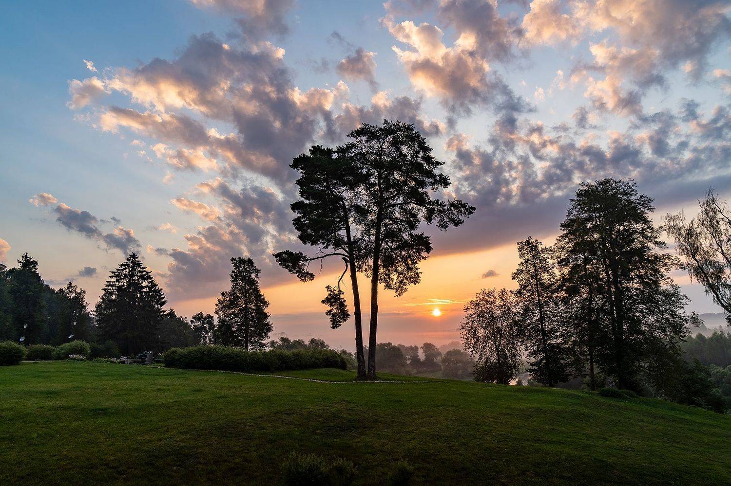 восход, туман, солнце, сосна, Добродий Михаил