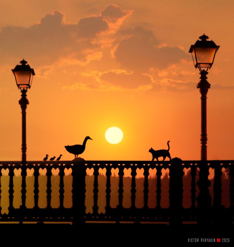 4+1 фото превью