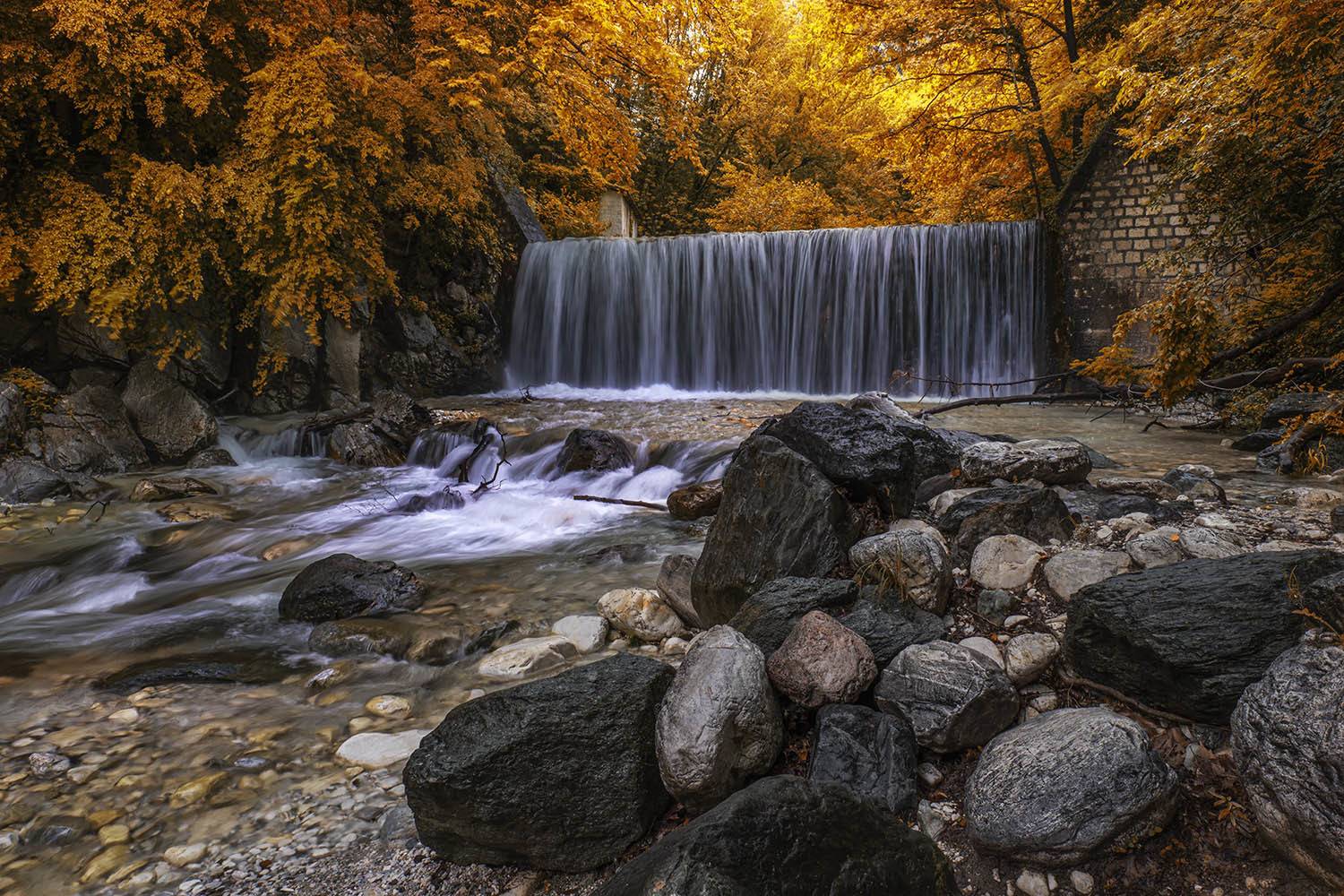 , Виктория Солодар