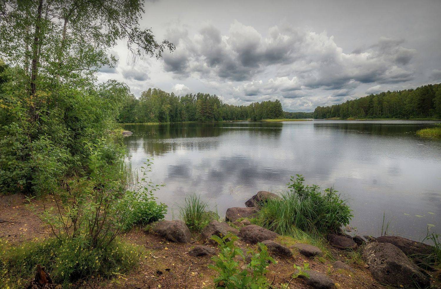 река, лес, лето, вуокса, камни, Сергей Аникин