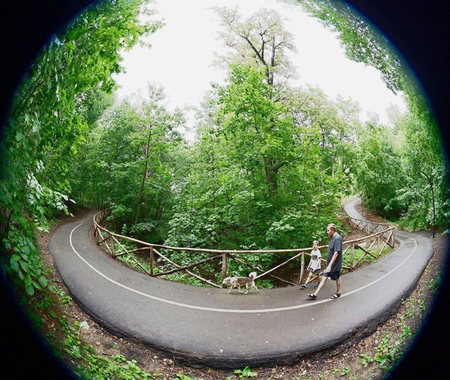 , Меднов Влад