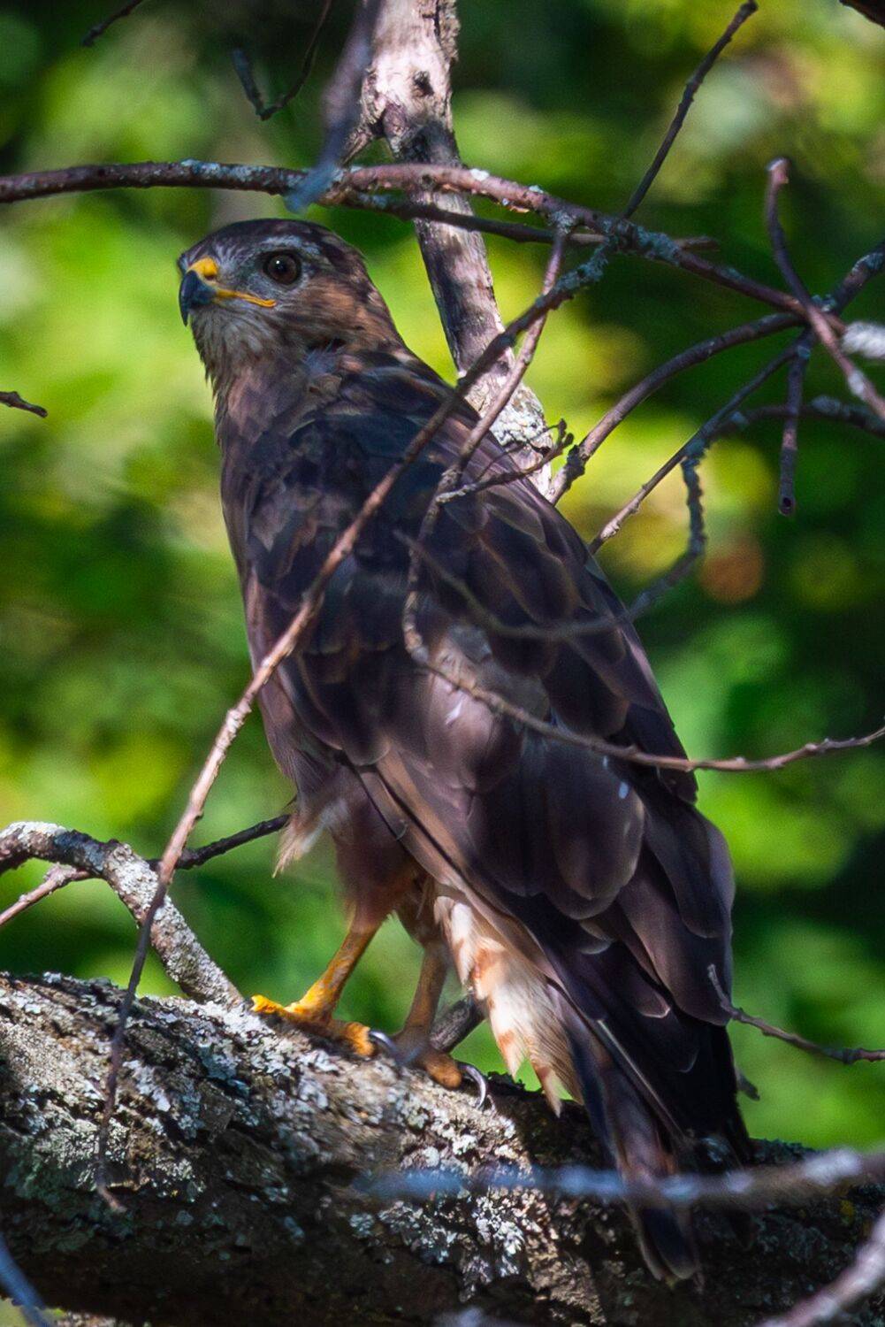 , Гильманов Артур