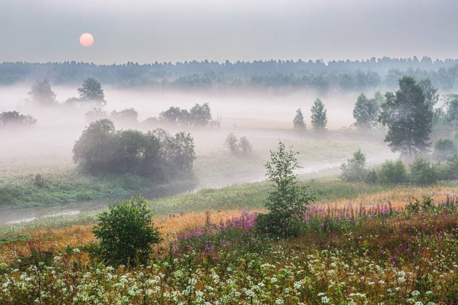 , Евгений Ерохин