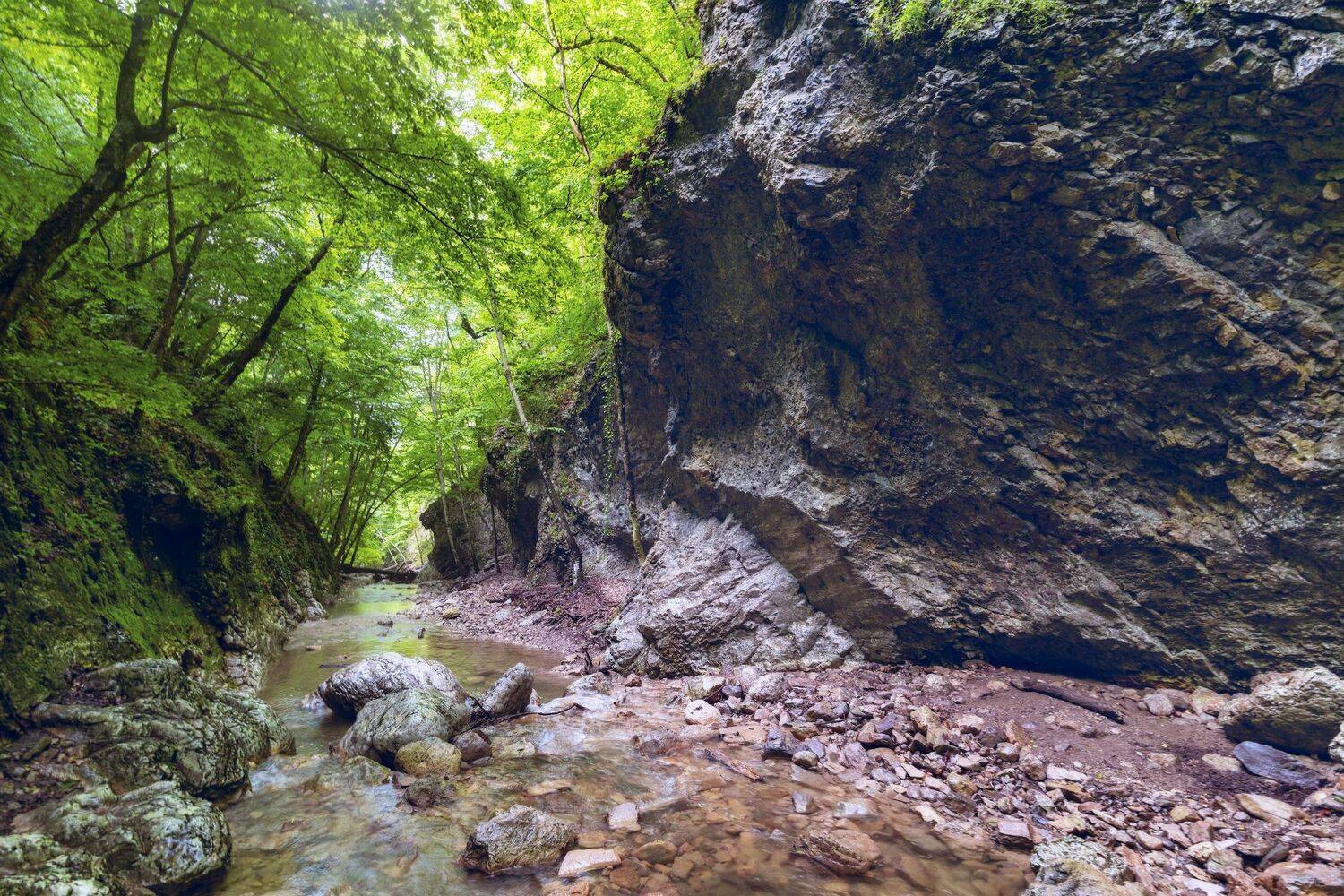 , Юлия Мальцева