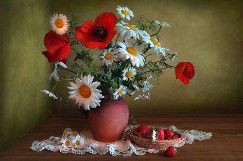 Ромашки и маки