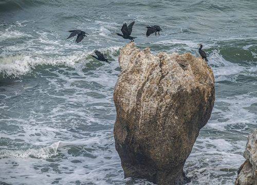 Море волнуется...