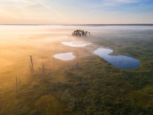 Затерянные миры Кадамских болот