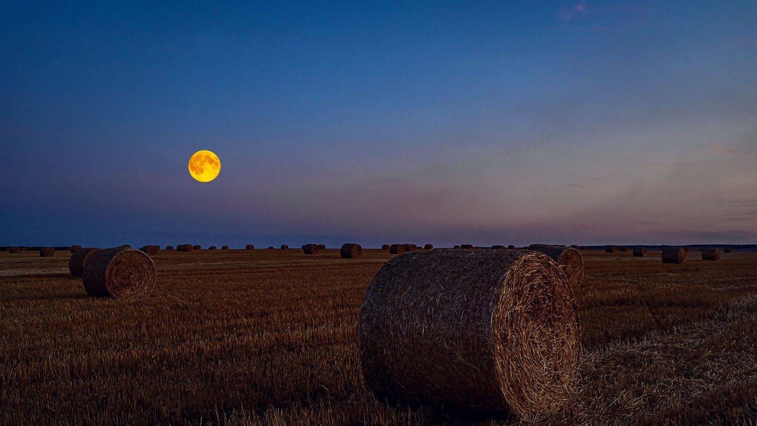 луна, полнолуние,, Николай Бологов