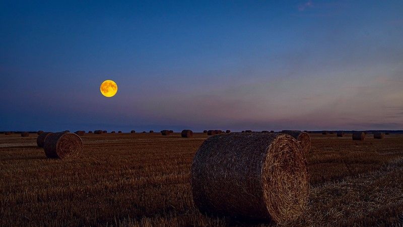 луна, полнолуние, Восход Луны фото превью