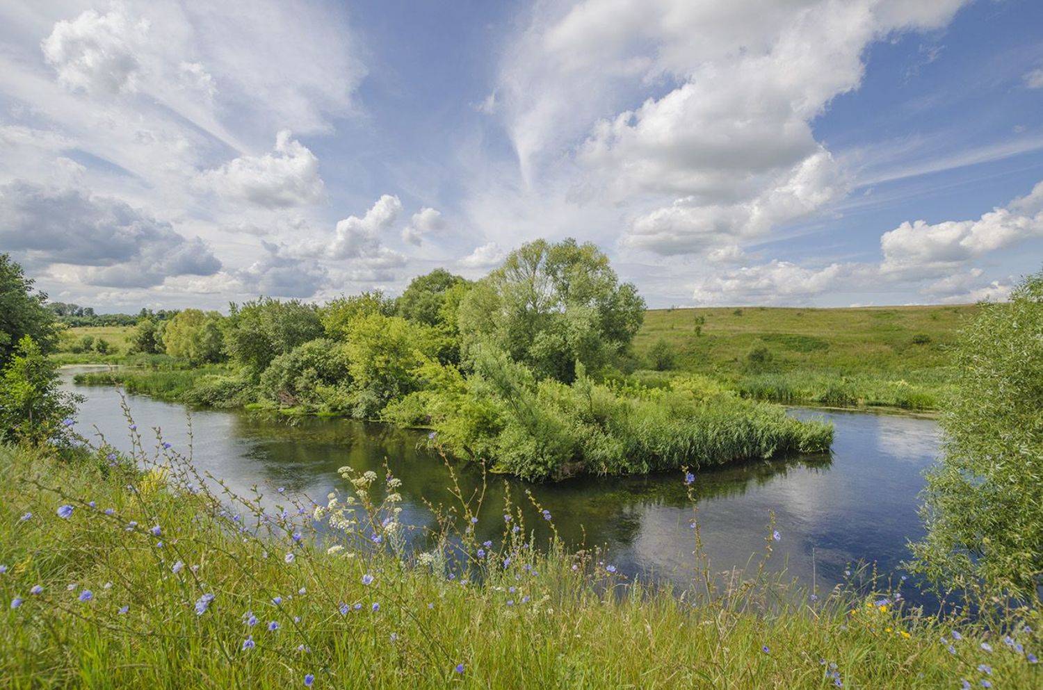 лето, река, дон, Михаил Агеев