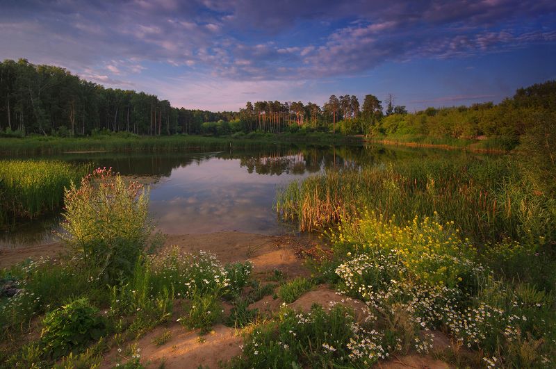 Летний рассвет фото превью