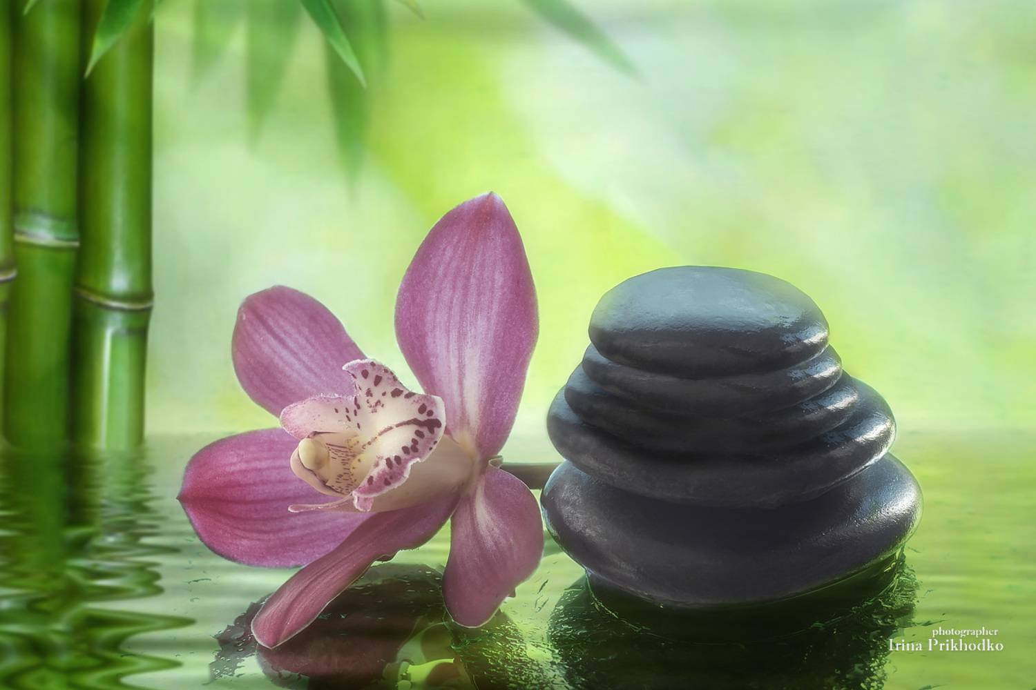 натюрморт, СПА, цветы, орхидея, Приходько Ирина