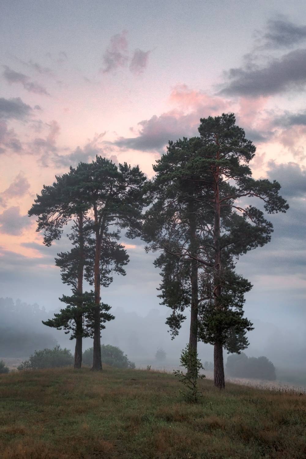 , Евгений Ерохин