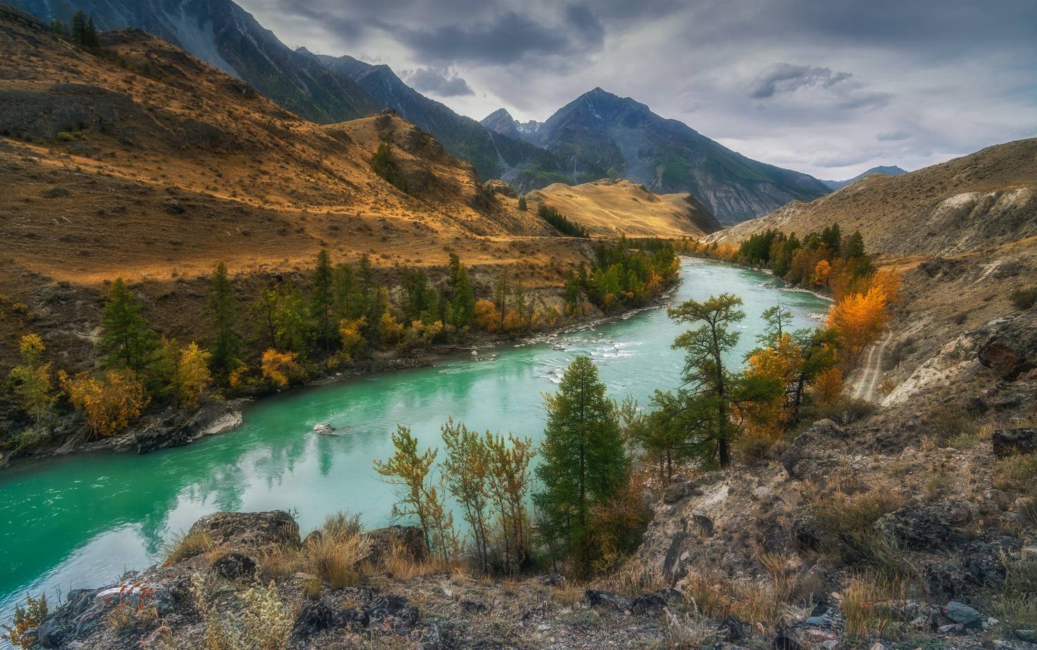 горный алтай,осень,река аргут,катунский хребет, Lora Pavlova