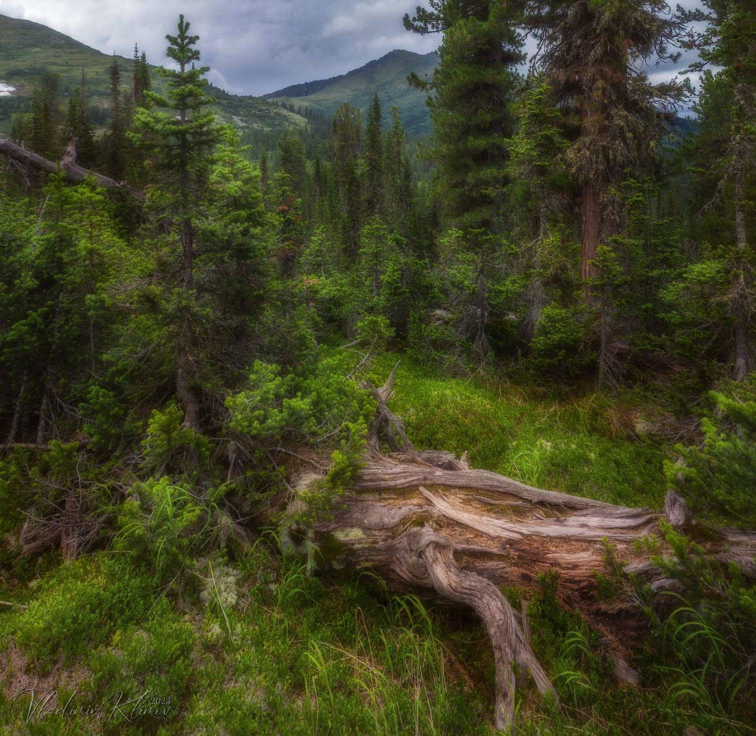 ергаки, Владимир Климов