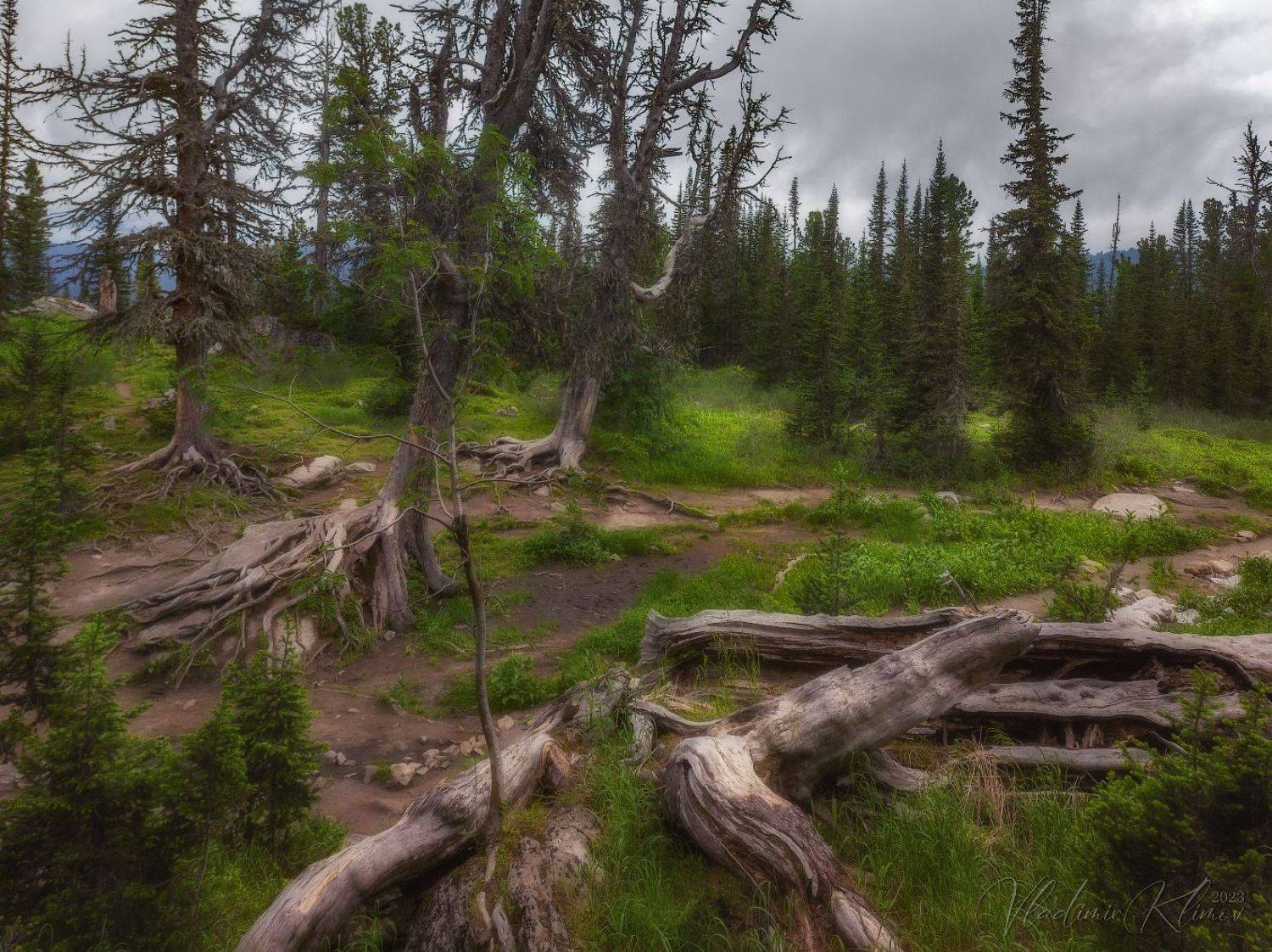 ергаки, Владимир Климов