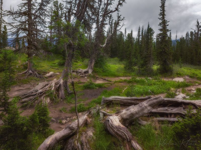 ергаки *** фото превью