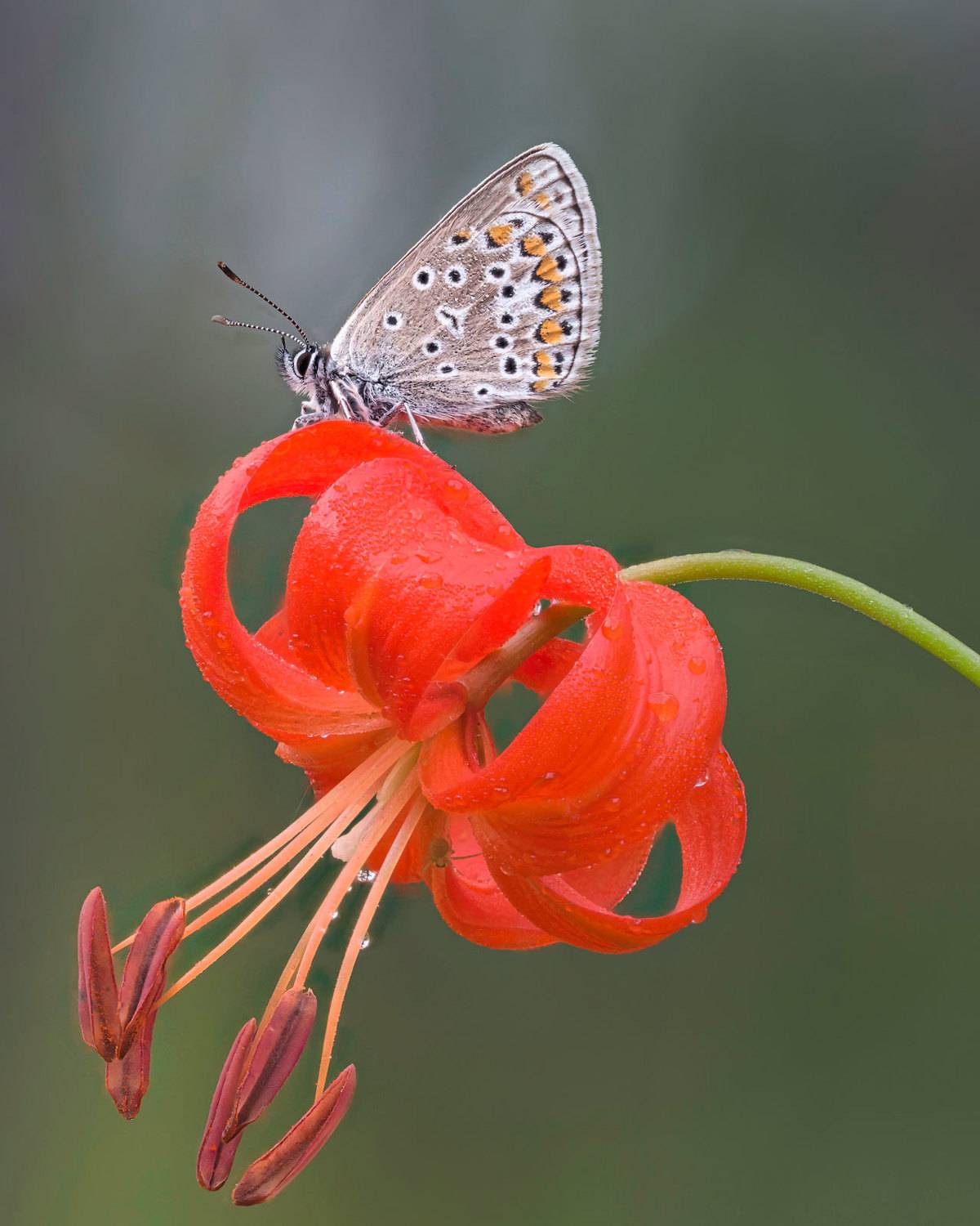 , Сергей Брагин