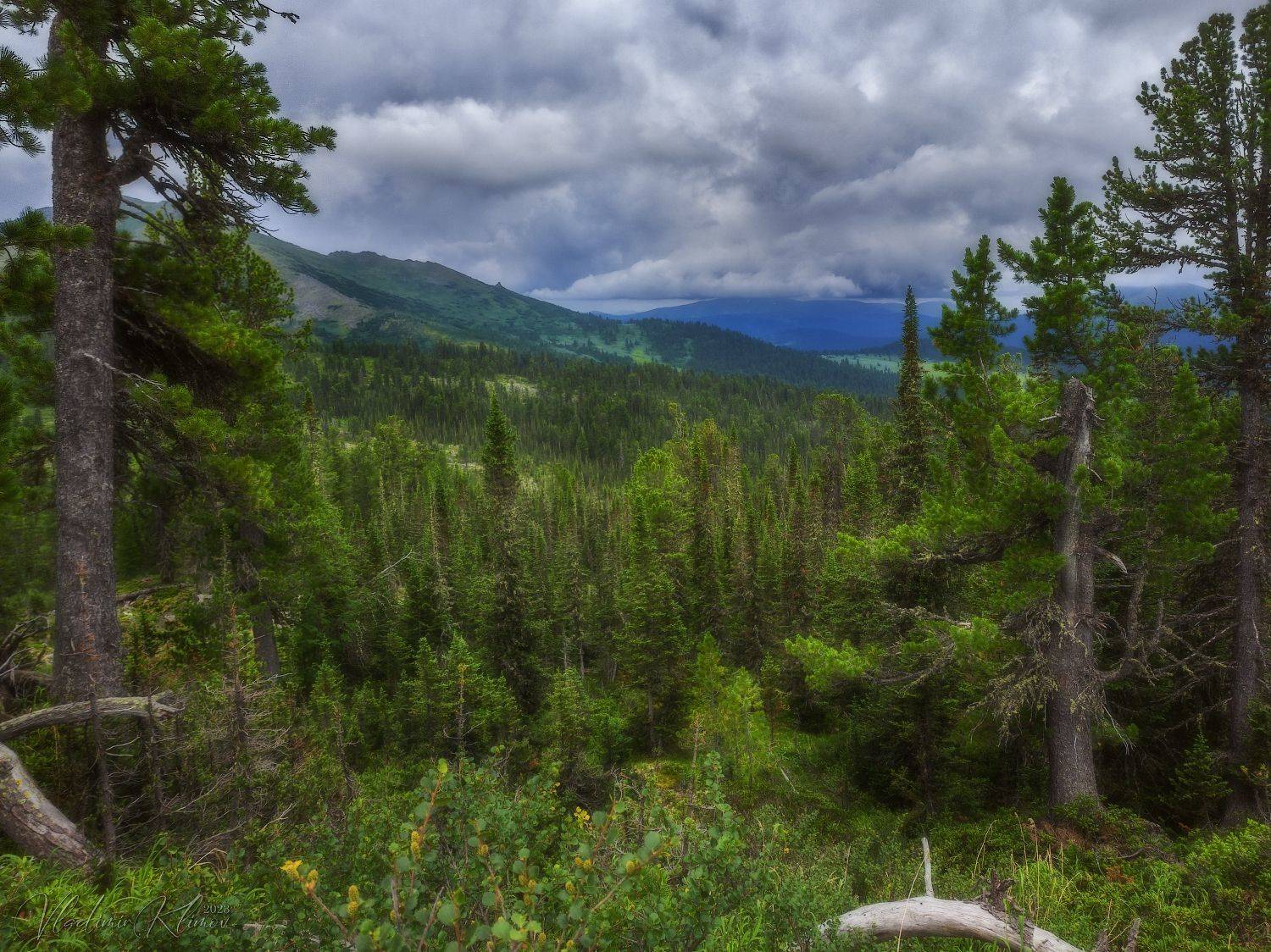 ергаки, Владимир Климов