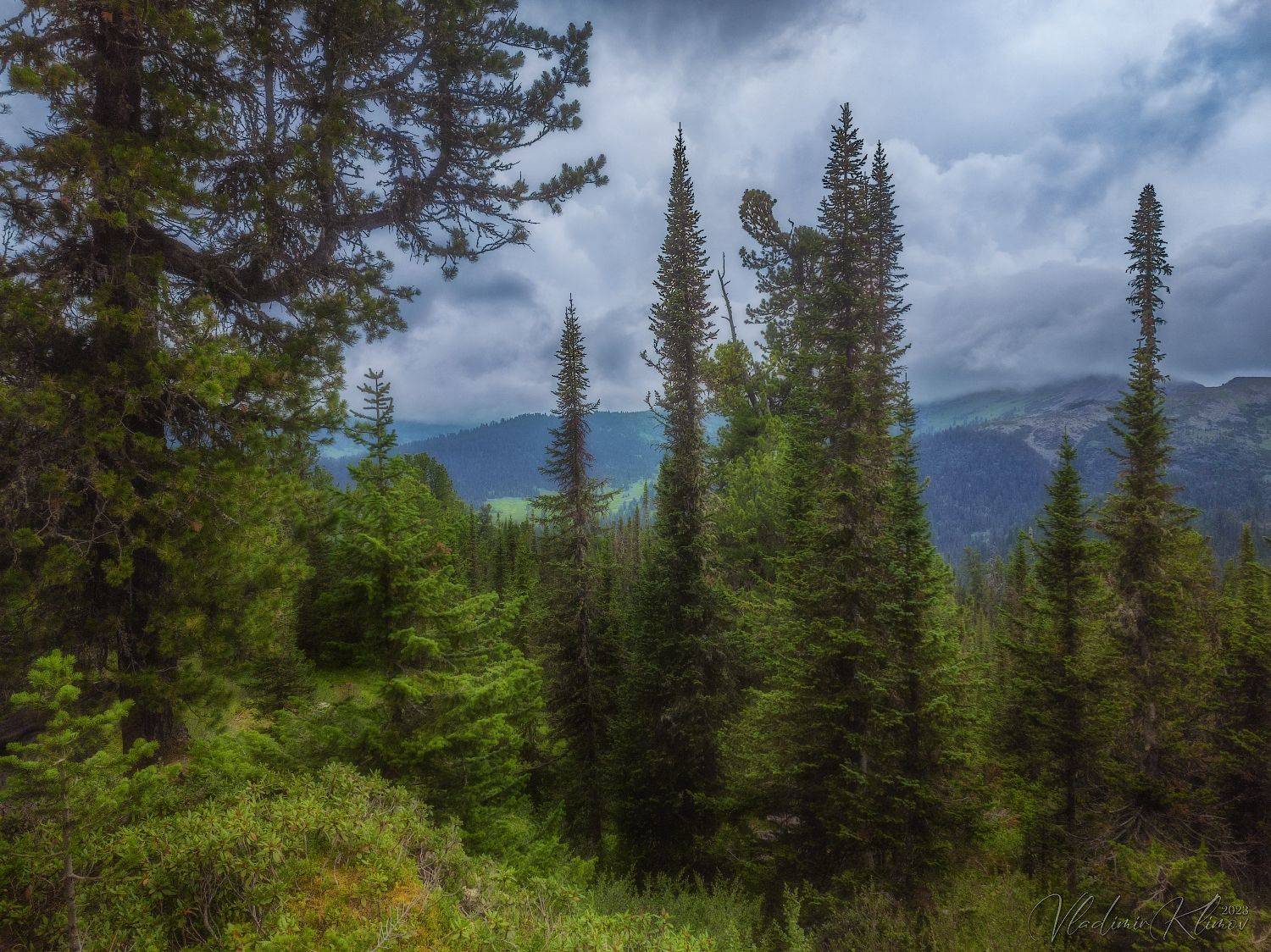 ергаки, Владимир Климов