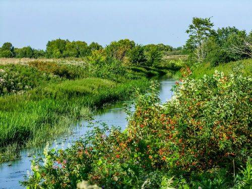 Август, знойный полдень