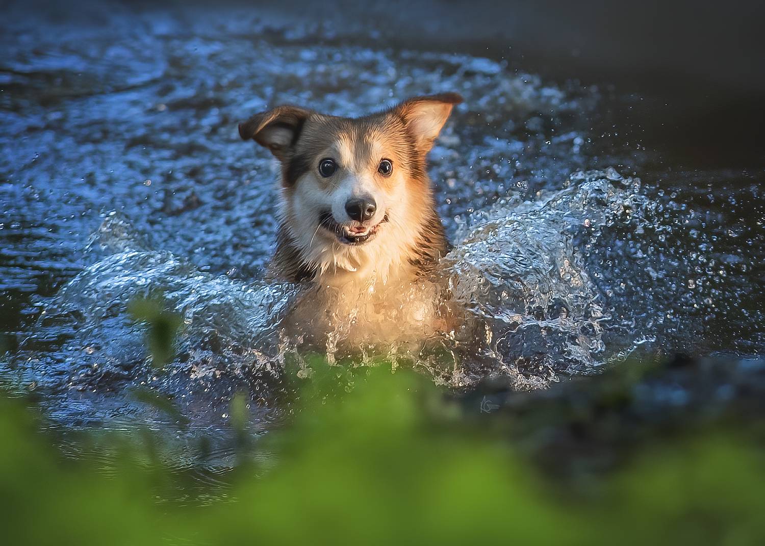 , Коптилина Галина