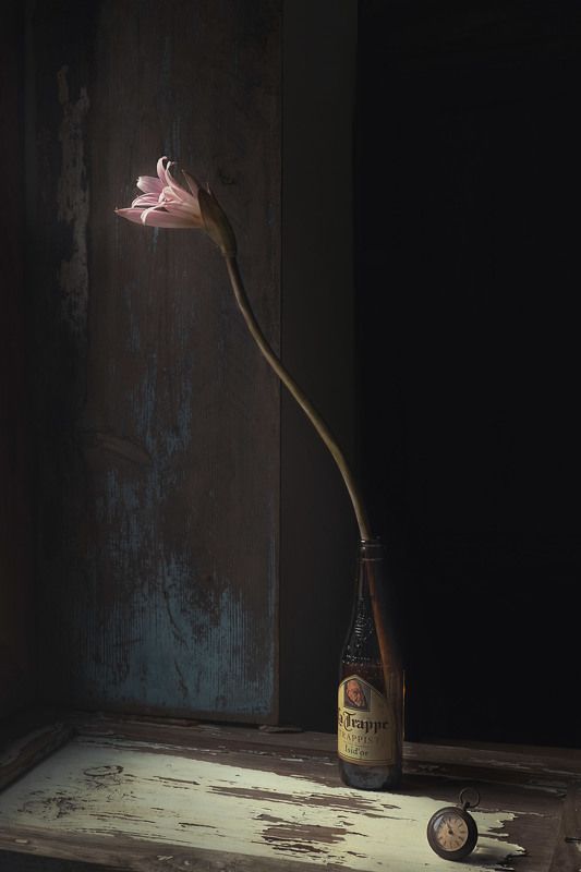 Lilia фото превью