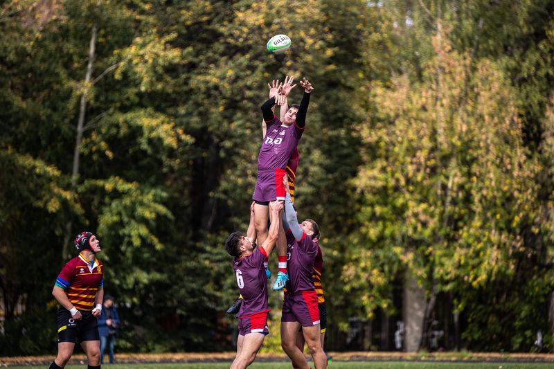 rugby, регби, спорт *** фото превью
