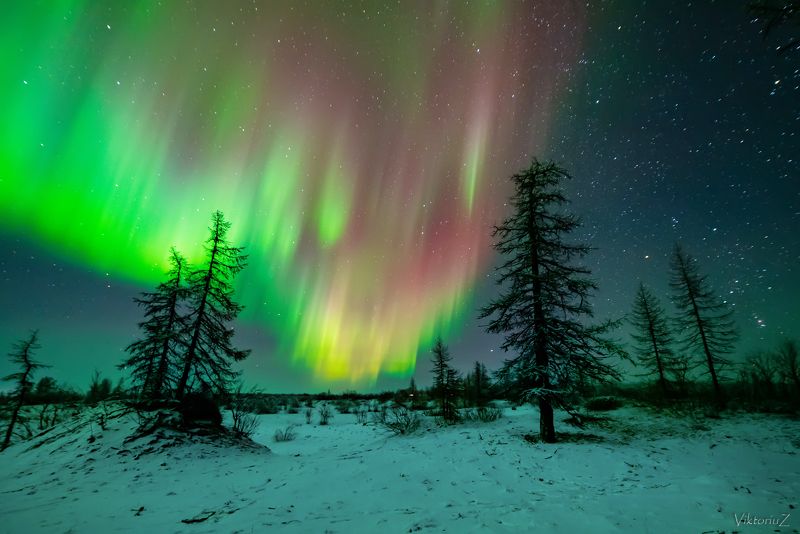 северное сияние, полярное сияние, заполярье, aurora borealis, polar lights  фото превью