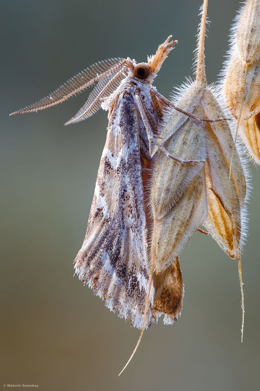 Утро фото превью