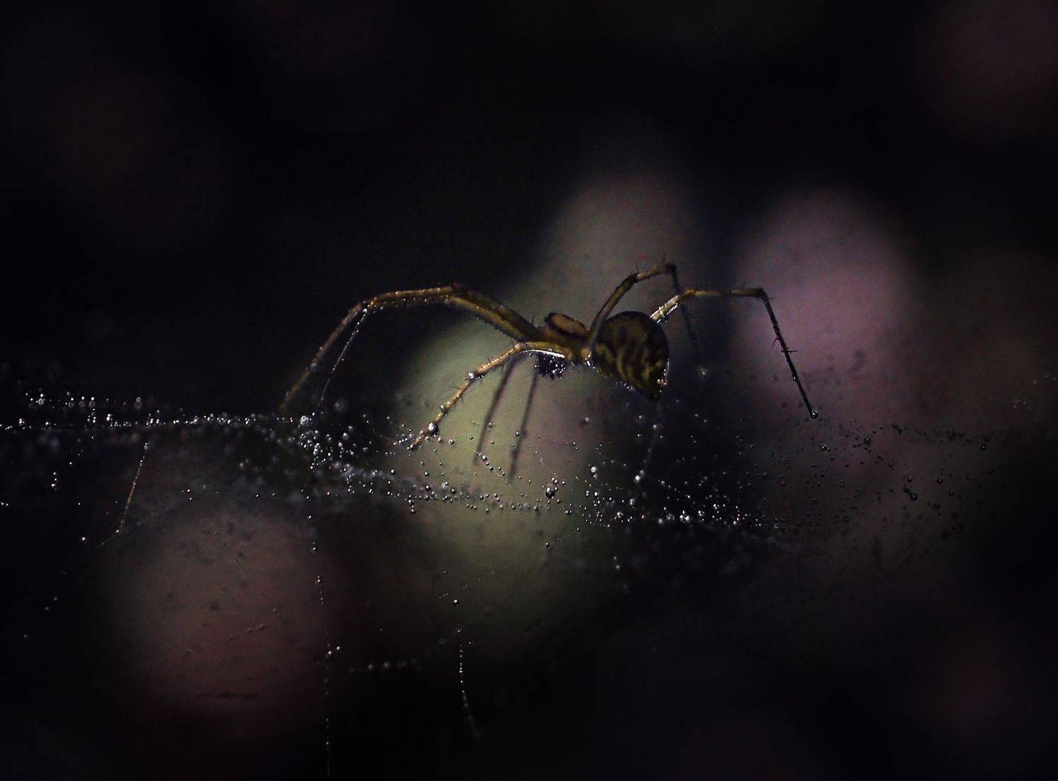 , Баранов Олег