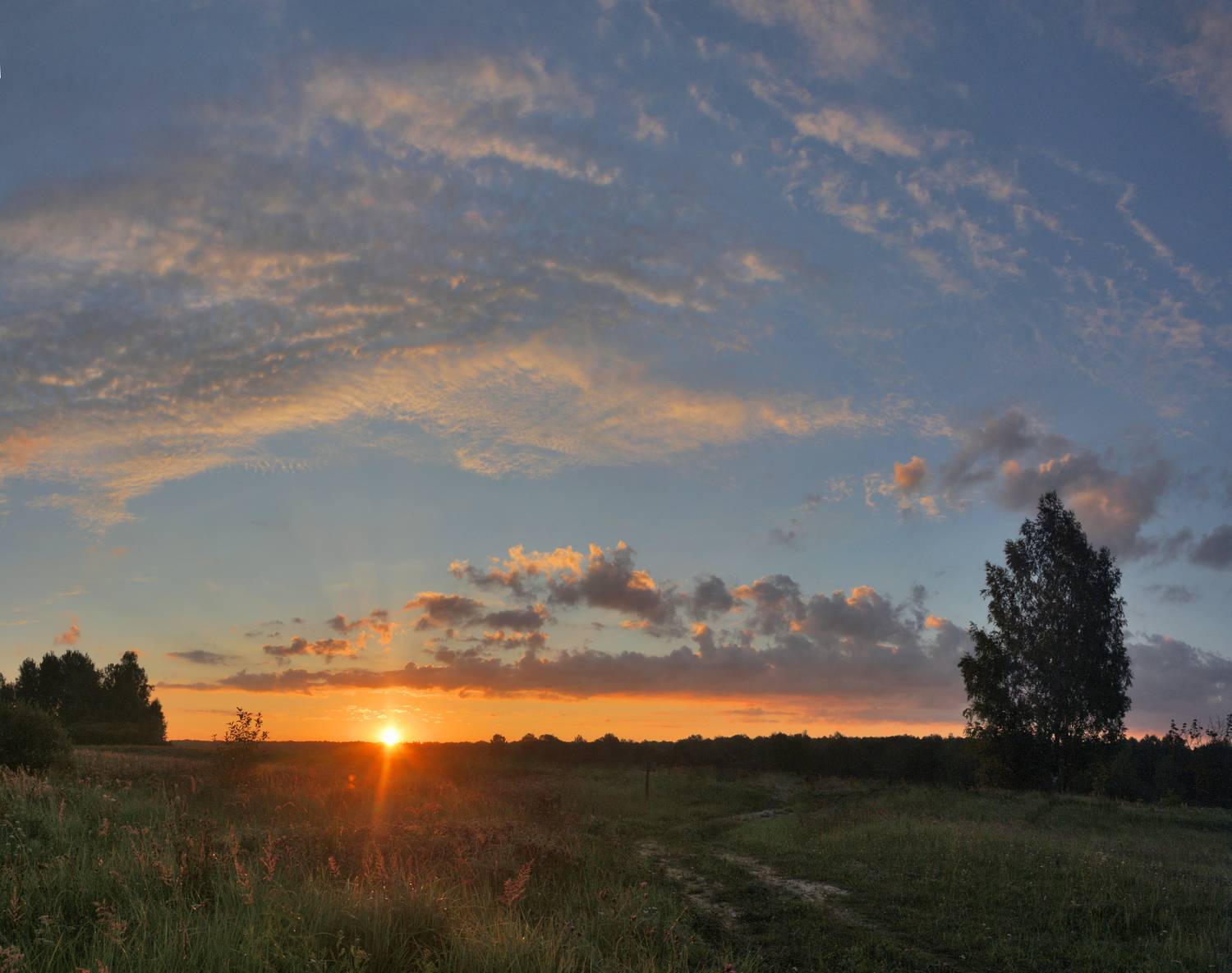 рассвет, лес, дорога, Александр Свистков