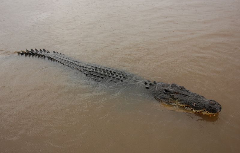 Ну здравствуй.. фото превью