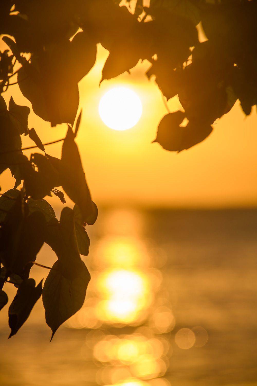 мальдивы, Александр Константинов