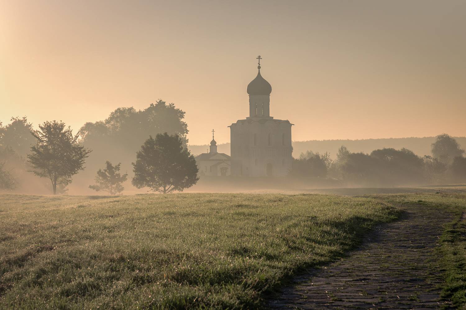 владимирская область, Елена Гусева