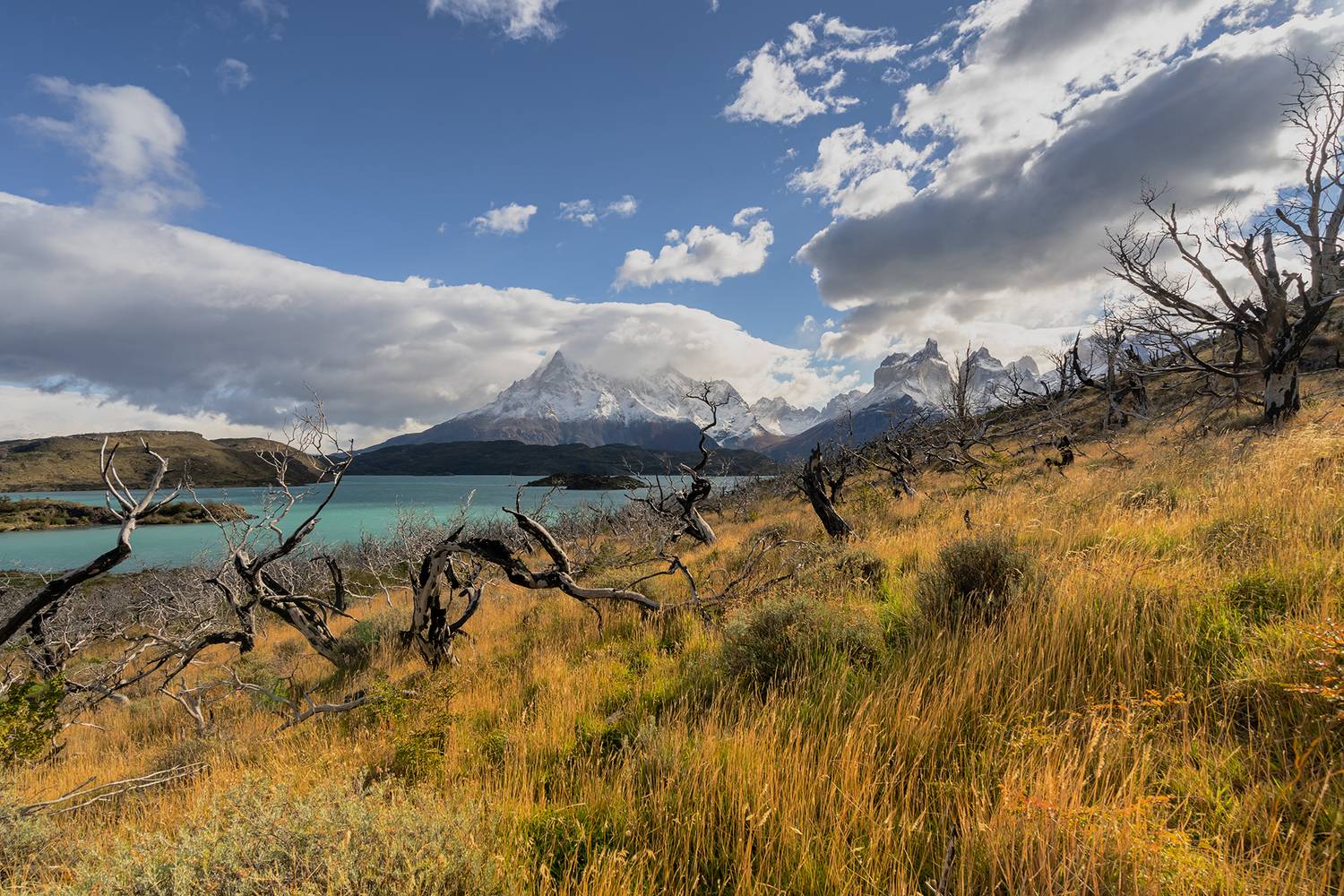 , Лариса Дука