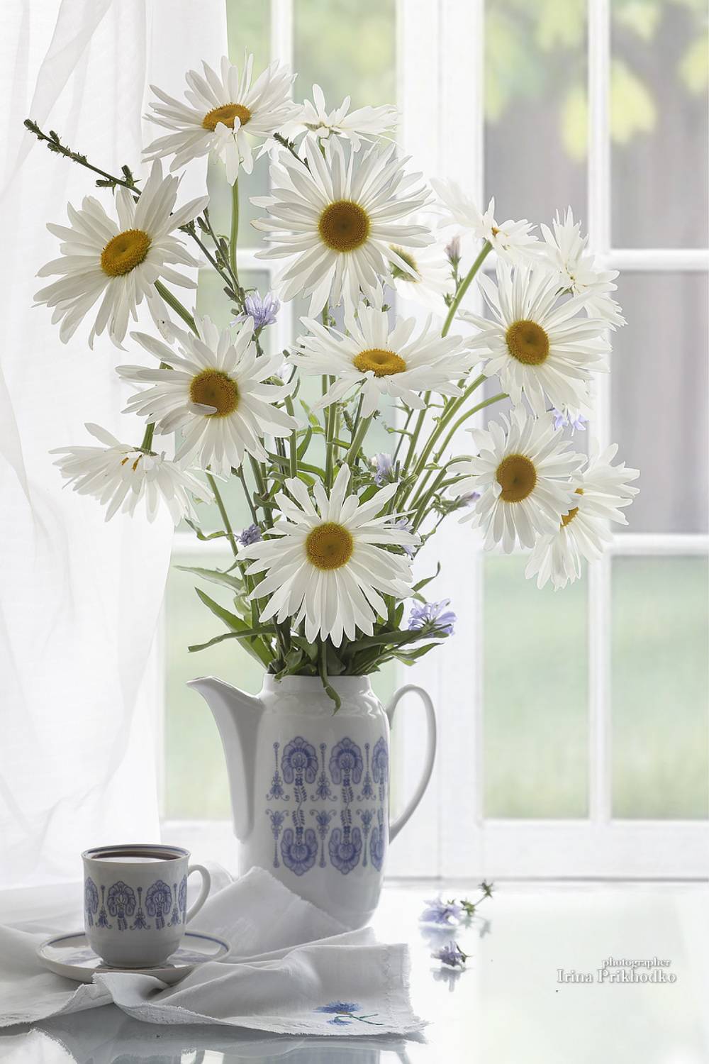 натюрморт, цветы, ромашки, букет, окно, Приходько Ирина