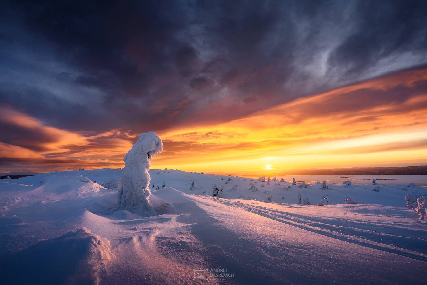 рассвет, заполярье, Андрей Баскевич