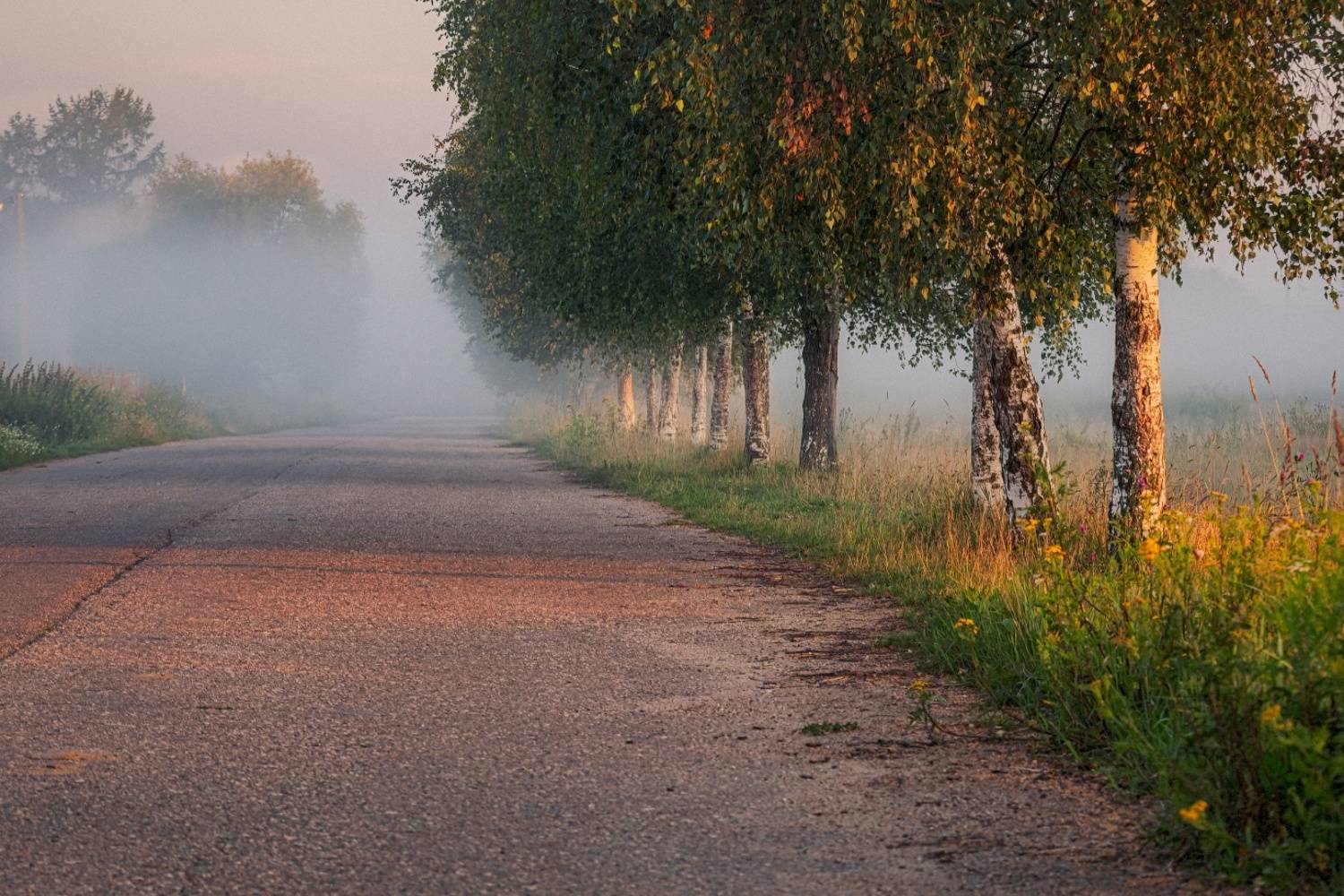 , Евгений Ерохин