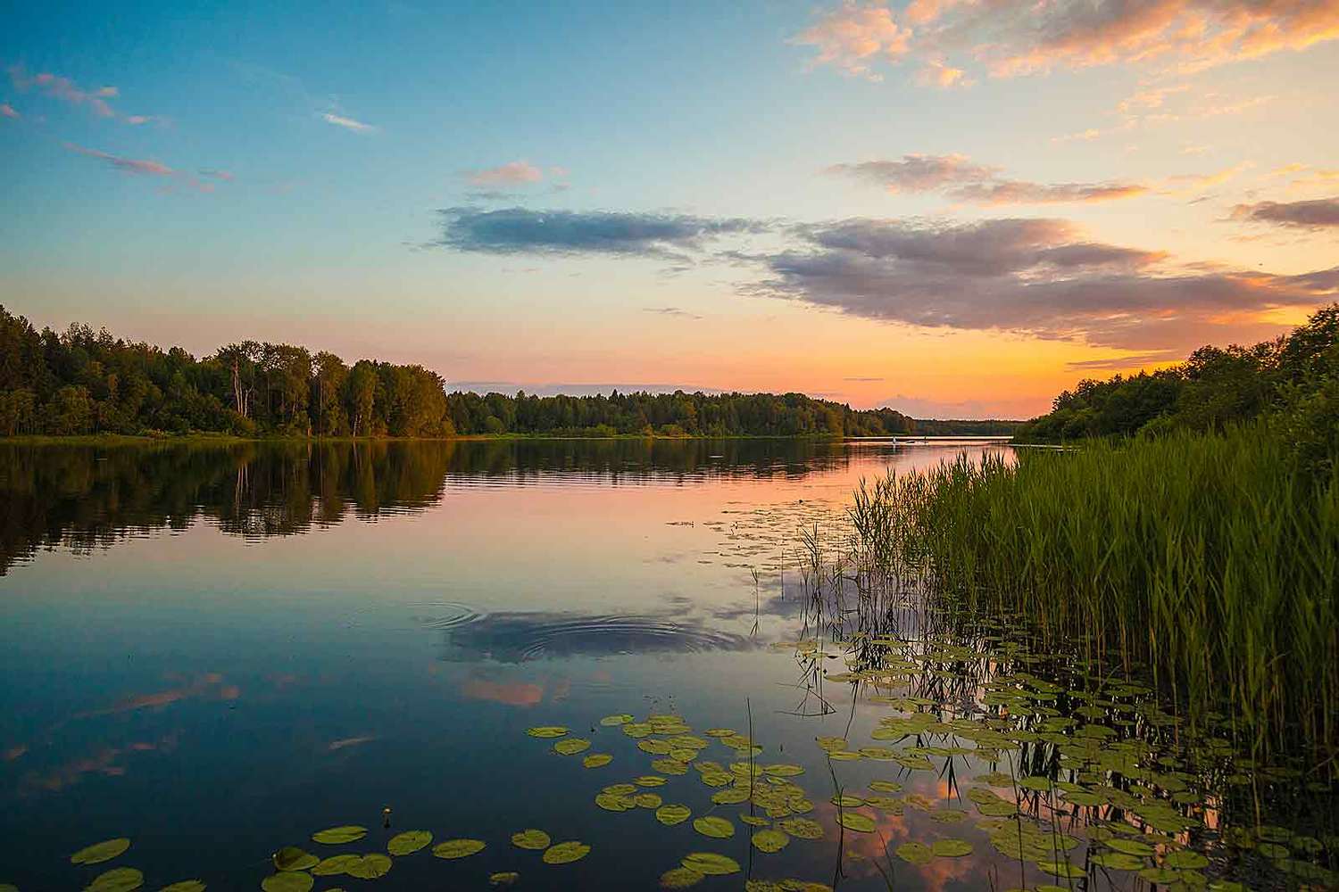 , Напалкин Станислав
